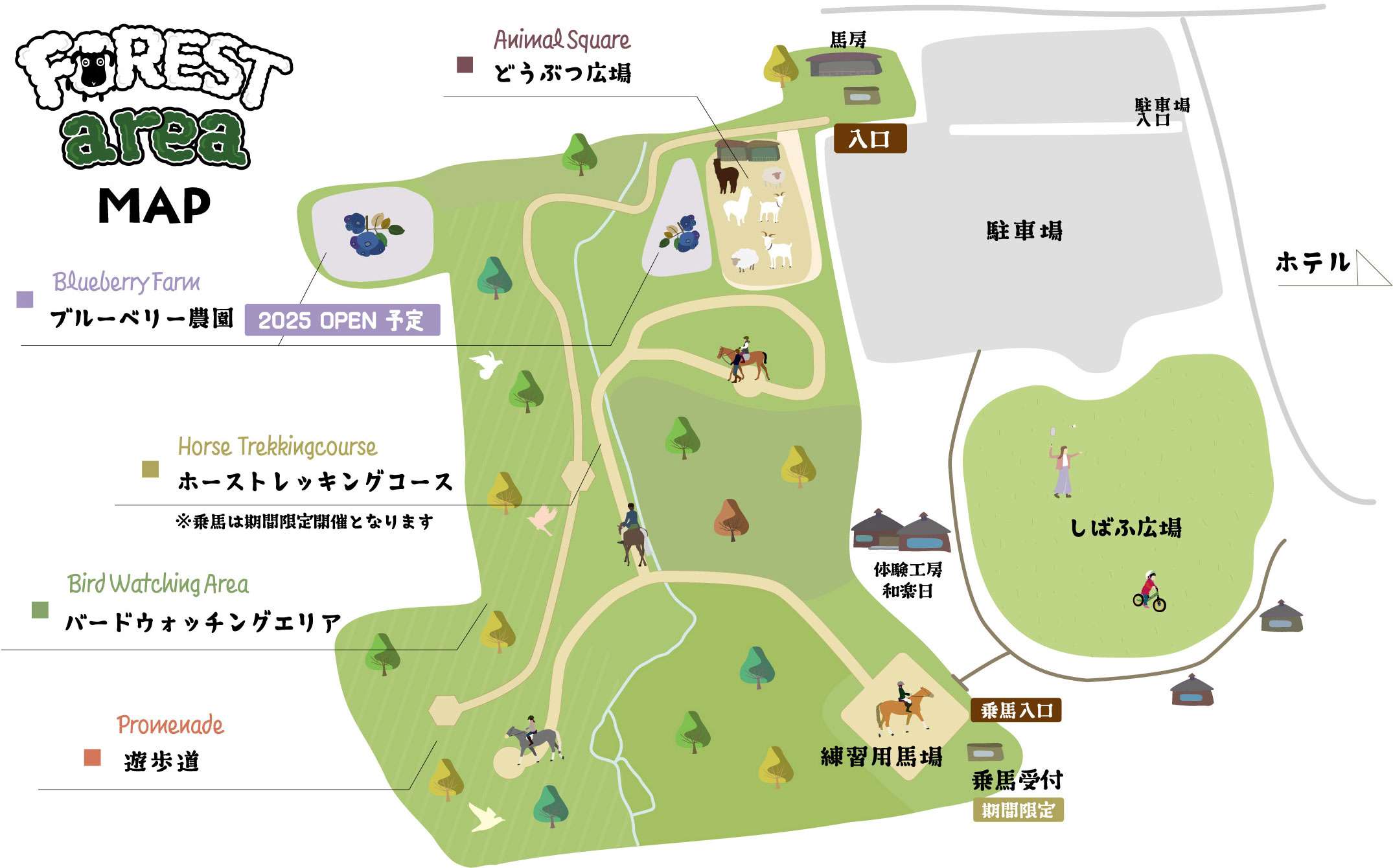 フォレストエリア地図