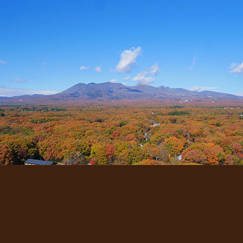 「那須の紅葉スポット」ホテル周辺の紅葉情報